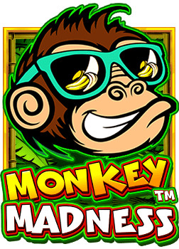 วิธีเล่นป๊อก เด้ง เกม y8 ง่ายๆ สไตล์ Jili ที่ใครก็ต้องชอบ